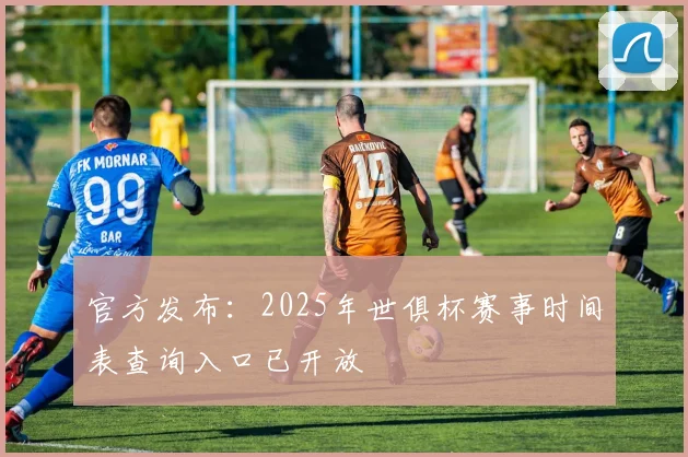 官方发布：2025年世俱杯赛事时间表查询入口已开放